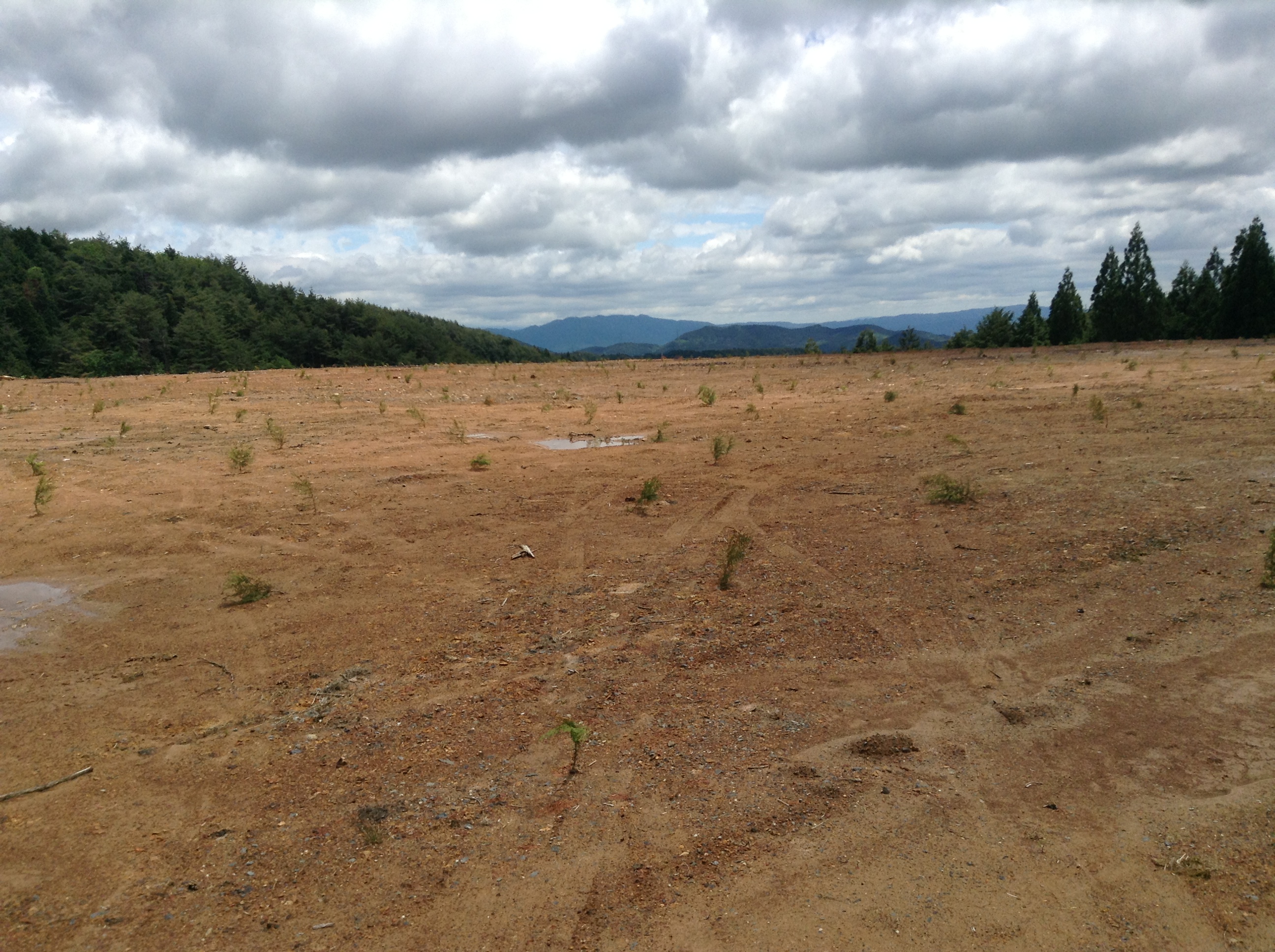 開発のために整地された岐阜県の土地